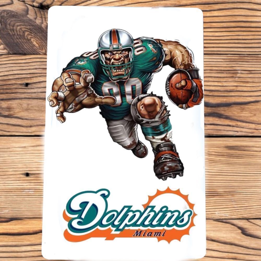 Miami Dolphins Magnet